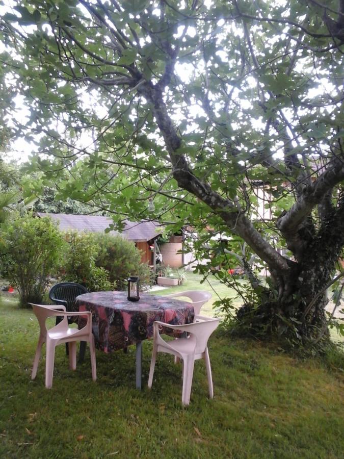 Gite L'Appel De La Foret Betplan Екстериор снимка