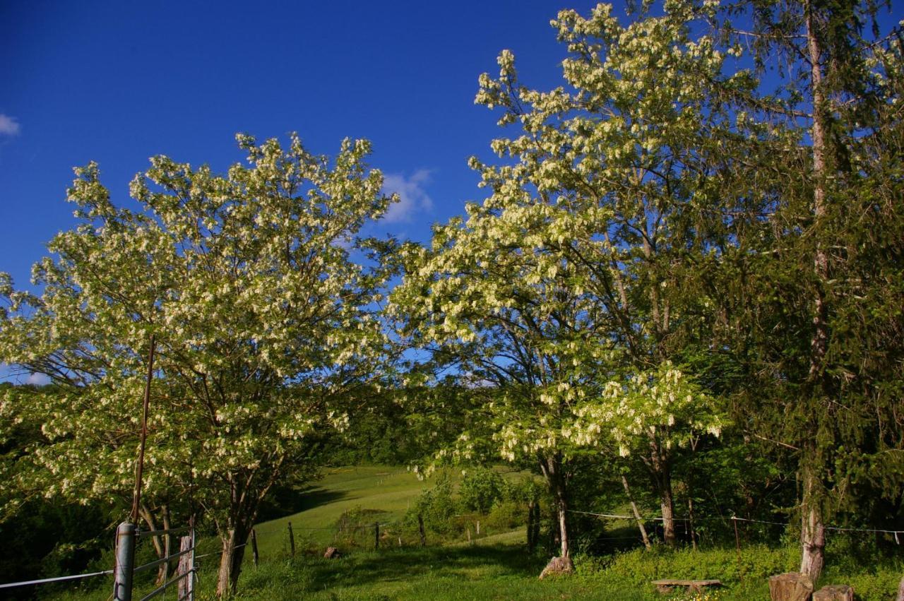 Gite L'Appel De La Foret Betplan Екстериор снимка